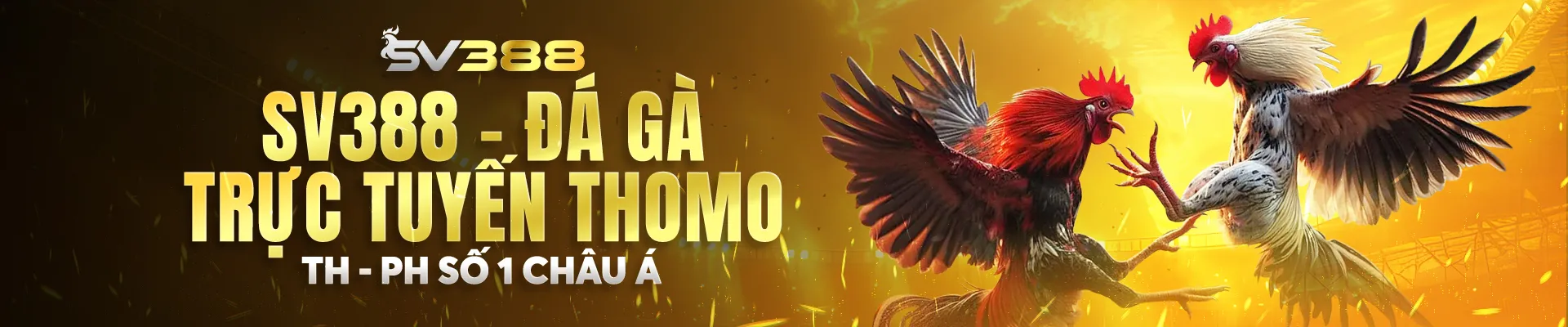 banner2-sv388