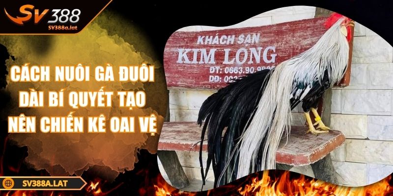cach-nuoi-ga-duoi-dai