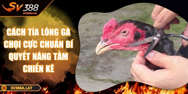 cach-tia-long-ga-choi
