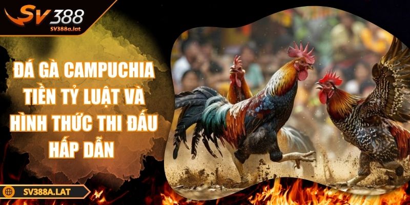 da-ga-campuchia-tien-ty