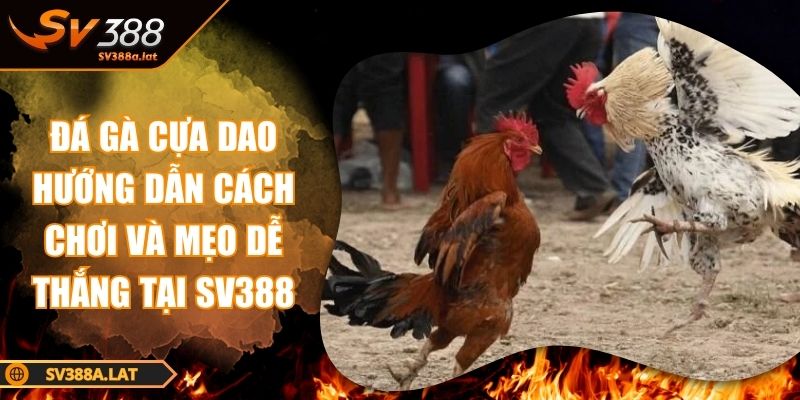 da-ga-cua-dao