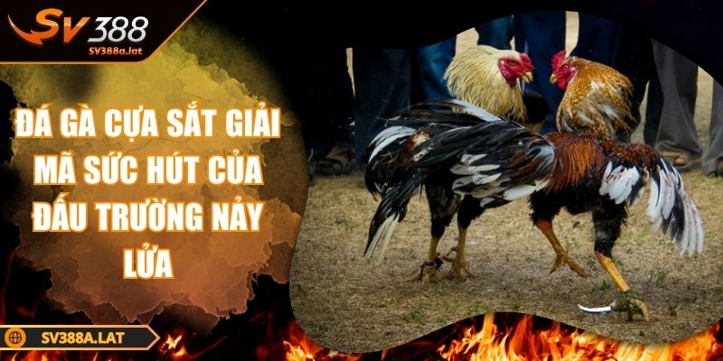da-ga-cua-sat