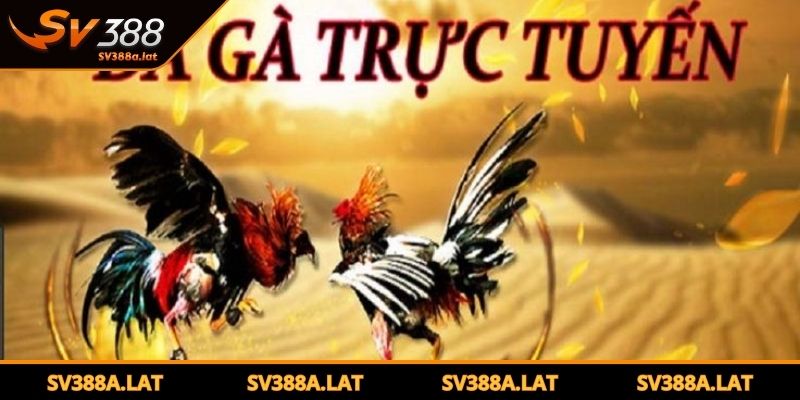 da-ga-tren-mang-la-gi