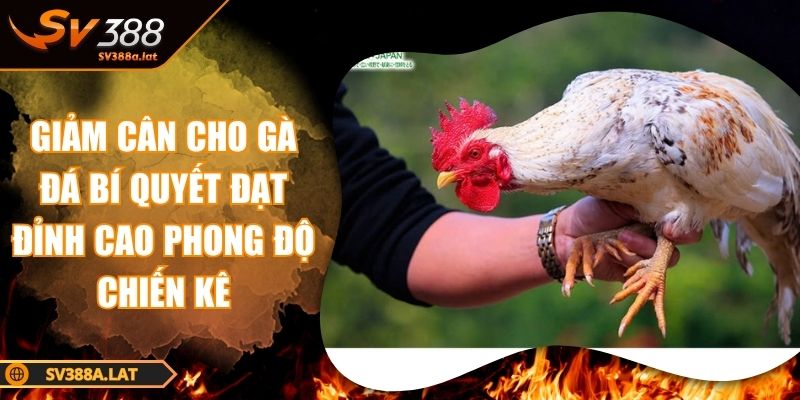 giam-can-cho-ga-da