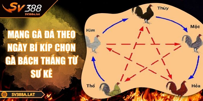 mang-ga-da-theo-ngay