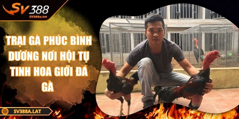 trai-ga-phuc-binh-duong