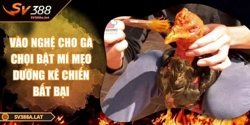 vao-nghe-cho-ga-choi